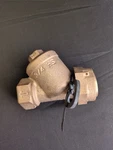 Ford Brass 3/4 Dual Check Valve Y Pattern. Fixed Price $99.99.