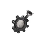 Jomar 600-05DSEL Lug Style, Epoxy-coated Ductile Iron Body, Stainless Steel Disc. Fixed Price $321.63.