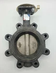 Nibco LD3222 Manual Cast Iron Lugged Butterfly Valve 2-1/2IN. Fixed Price $29.99.