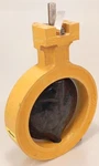 Dresser Nil-cor Butterfly Valve 8"-310-W-T-S-N. Fixed Price $250.80.