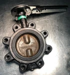 Hammond 621101 0400 Butterfly Valve 4" Inch 200PSI. Fixed Price $149.99.