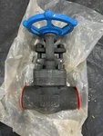 Sharpe A105N Steel Flanges 1" Gate Valve 1-800 Socket Weld X Threaded 34834. Fixed Price $50.00.