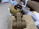 1/2" Gate Valve # 205C212-NL Everflow Swt Cast No Lead Brass Body. Fixed Price $63.00.