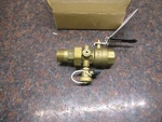 Bell & Gossett 113237 TPV-1" Nptf X Ntpm Tank Purge Valve New Free Shipping. Fixed Price $63.99.