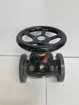 Saunders A3DN80 3" Manual Diaphragm Valve Flanged. Fixed Price $250.99.