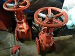Nibco 6" F607 Rw Gate Valve 125LB Flanged. Fixed Price $750.00.