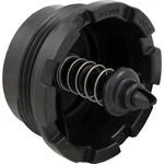 Spring Check Valve, Pentair Sta-rite System 2. Fixed Price $30.96.
