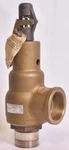 Kunkle Bronze 2" Safety Relief Valve 25PSIG 6030JHE01-AM0025. Fixed Price $799.99.