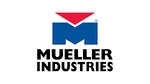 Mueller Industries B34236 1/8 Four-bolt Check Valve. Fixed Price $348.98.