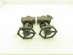 Dsi 4101A5-18 Steel 1" Npt Threaded X Socket Gate Valve 1990 Psi #800 Lot Of 2. Fixed Price $59.49.