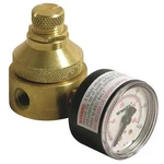 Watts 1/4 LF560G 0-125 Pressure Regulator, In, Psi. Fixed Price $132.99.