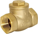 Eastman Brass Swing Check Valve, 1 Inch Ips, Plumbing Fitting, 20425LF. Fixed Price $18.95.