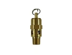 Kingston 1/4 Npt Brass Soft Seat Pressure Relief Valve 105 Psi 94 Scfm. Fixed Price $15.95.