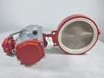 Bray 14" 150 Actuated Wafer Butterfly Valve. Fixed Price $3999.00.