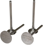 Del West Titanium Valves High Performance CRF250RIV10NDHF. Fixed Price $36.65.