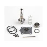 Asco 316982 Rebuild Kit 6DYG4. Fixed Price $207.23.