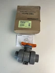 Hayward Series 1" True Union Ball Valve Cpvc TBH2100A0SE0000. Fixed Price $49.99.