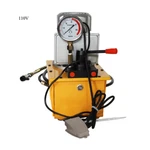 Techtongda 110V Double-acting Electric Hydraulic Pump Manual Valve. Fixed Price $454.77.