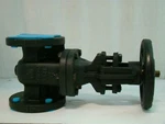Hammond Flanged Gate Valve IR1140. Fixed Price $198.00.