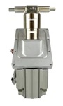 Smc NCDQ2B80-G0656 Wafer Chamber Slit Valve Endura Centura Working Surplus. Fixed Price $508.23.