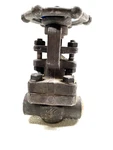 Dsi 4101 A8-18 Forged Steel Gate Valve 1/2" Sw X Npt Ends Class 800 Api Trim #8. Fixed Price $48.53.