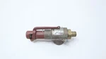 Farris 1896M-0L Relief Valve 75PSI 1/2IN X 3/4IN Npt. Fixed Price $168.95.