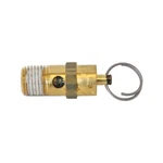 Campbell Hausfeld 1/4" Npt Safety Valve. Fixed Price $18.71.