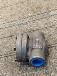 Bonney Forge 3/4"-800 Piston Check Valve DN20-3/4" B16.34-A105N. Fixed Price $35.10.