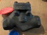 Velan W08-2034B-02TY 2" Weld Socket Piston Check Valve 2034B, 140, A105N New!. Fixed Price $119.95.